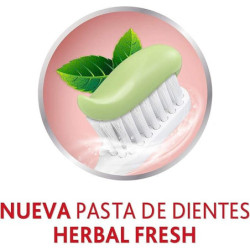 PACK 2 UDS BABARIA CHAMPU DE CEBOLLA ANTIOXIDANTE RECUPERADOR SIN OLOR CEBOLLA, BOTELLA  DE 700 ML