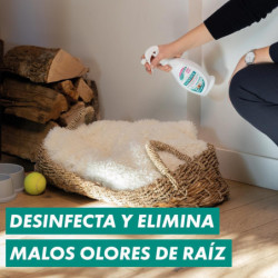 SANYTOL ELIMINAOLORES PISTOLA 500 ML