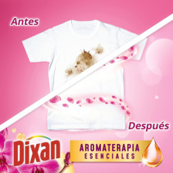 DIXAN TOTAL 4+1 TRÍO CAPS  24 UDS, JABÓN PARA ROPA BLANCA Y CLARA, LIMPIEZA, LUMINOSIDAD Y FRESCOR EN UN DETERGENTE