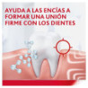 PARODONTAX  PASTA DE DIENTES AYUDA A DETENER Y PREVENIR EL SANGRADO DE ENCÍAS FRESCOR DIARIO  PACK 3X75 ML
